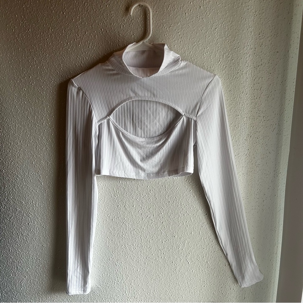 White long sleeve cropped top